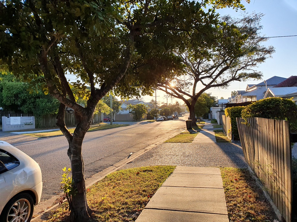 Tree study shows Brisbane suburbs need more shade Faculty